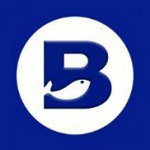 比交所bybit数字资产交易平台v6.0.3