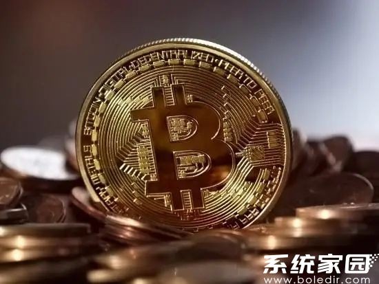 STX币资产管理系统