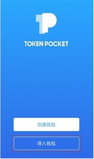 Topay支付系统操作界面