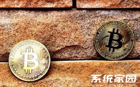 SATS币市场表现与前景分析