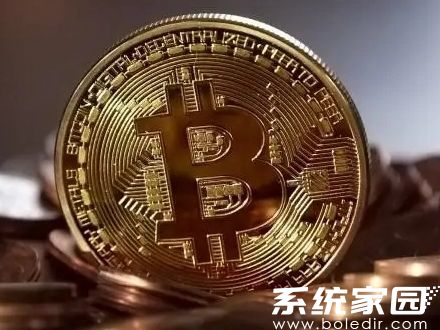 数字资产管理流程