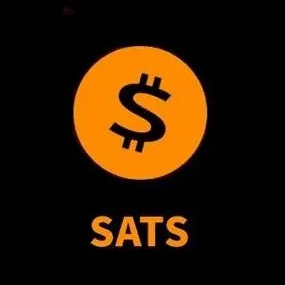 sats币平台下载与交易功能详解