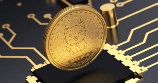 宝贝狗币价格走势与未来前景分析