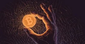 ZBApp登录问题解决指南