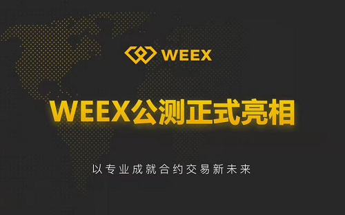 weex交易所官网链接 weex交易所官网介绍说明
