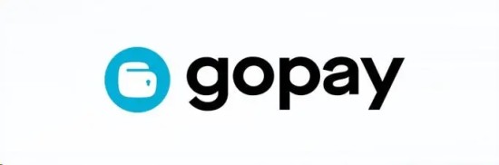 Gopay钱包充值使用全流程
