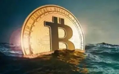 Gopay钱包资质认证流程示意图