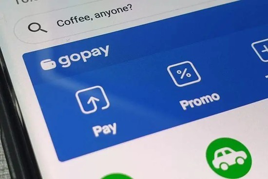 GOPAY钱包账户管理指南