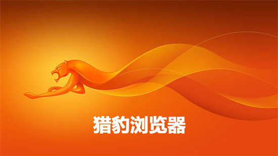 猎豹浏览器安全性能与功能全解析