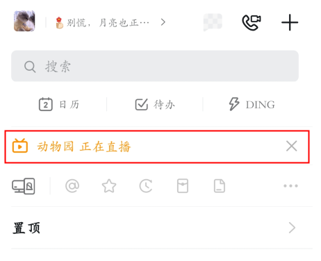 钉钉网页版直播观看全流程解析