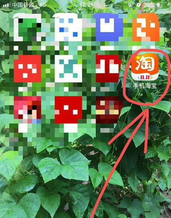 手机淘宝版本号查询步骤详解