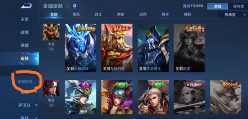 皮肤仓库界面示意图