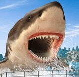 深海猎鲨行动苹果版免费下载