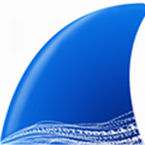 Wireshark免安装版网络协议分析工具v3.6.6 最新版