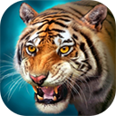 3D老虎模拟世界自由冒险之旅v1.6.6 免费版