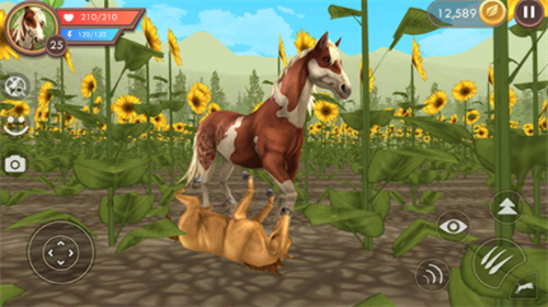 3Du52a8u7269u6a21u62dfu5668u514du8d39u7248