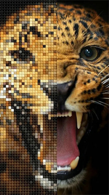 u5341u5b57u7ee3u6e38u620fu514du8d39u7248u65e0u9650u91d1u5e01u7248