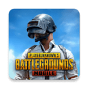 PUBG国际服2023全新资源畅玩v2.8.0 无限钞票版
