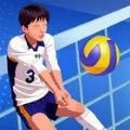 单挑排球实战技巧与模式详解v1.0.2 中文版