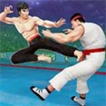 功夫大师动作手游全资源开放