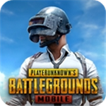 国际服pubg手游下载安装