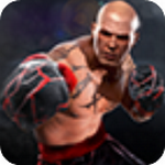 真实拳击2中文版沉浸式拳击对决 v1.41.7 正版