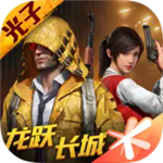 国际服和平精英手游安装与特色
