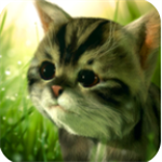 猫咪追寻奇幻冒险手游下载