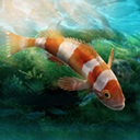 水族箱设计模拟手游中文版下载v1.0.0 内购版