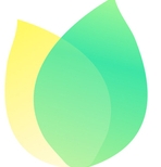 飞火动态壁纸电脑版高清视频桌面自定义工具v2.2.0.0 最新版