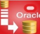 OracleCopier数据复制利器v2.2 中文版