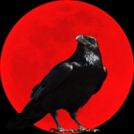 乌鸦之霜开放世界ARPG手游v1.2.06 无限宝石版