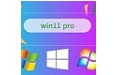 Windows 11专业版