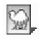 ExifTool专业元数据编辑工具v13.19
