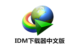 IDM下载工具界面
